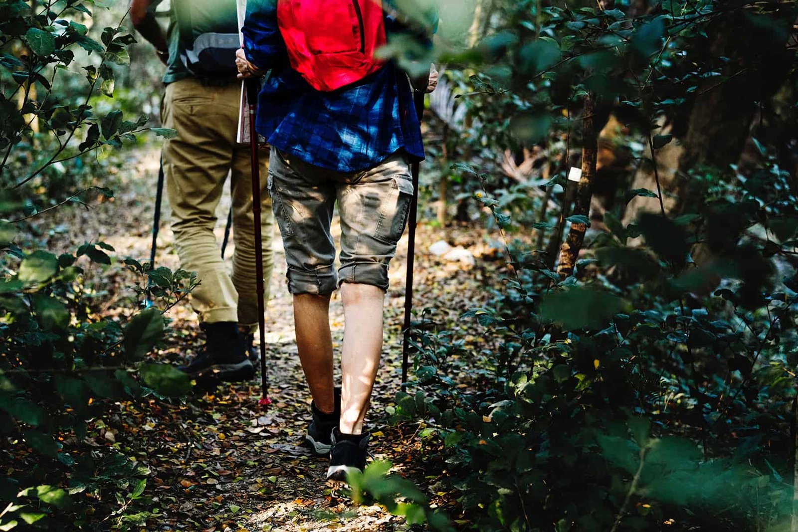 trekking