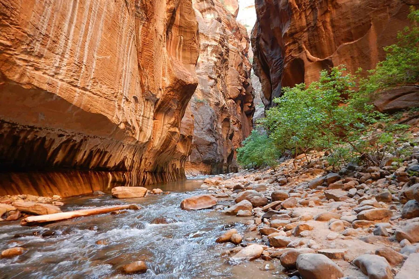Parque Zion
