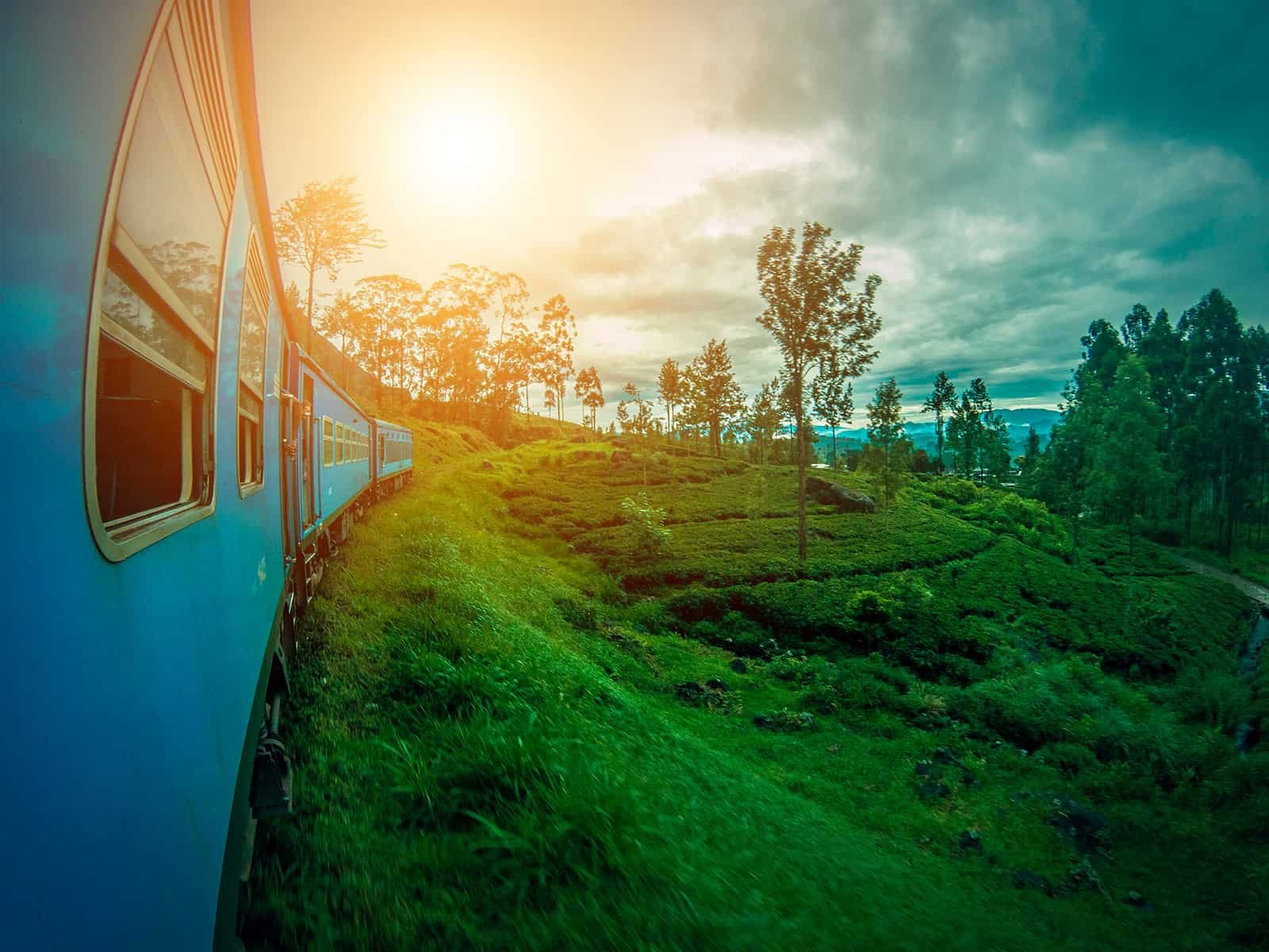 Tren entre plantaciones de té en Ella