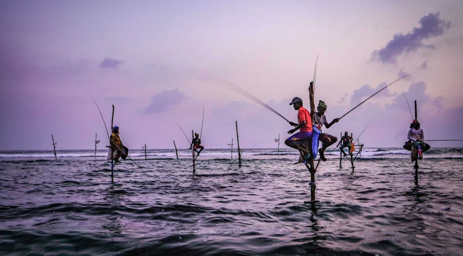 pescadores zancudos Sri Lanka