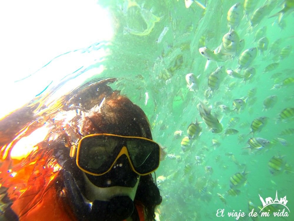 Sandra Candal buceando en Ko PhiPhi, Tailandia