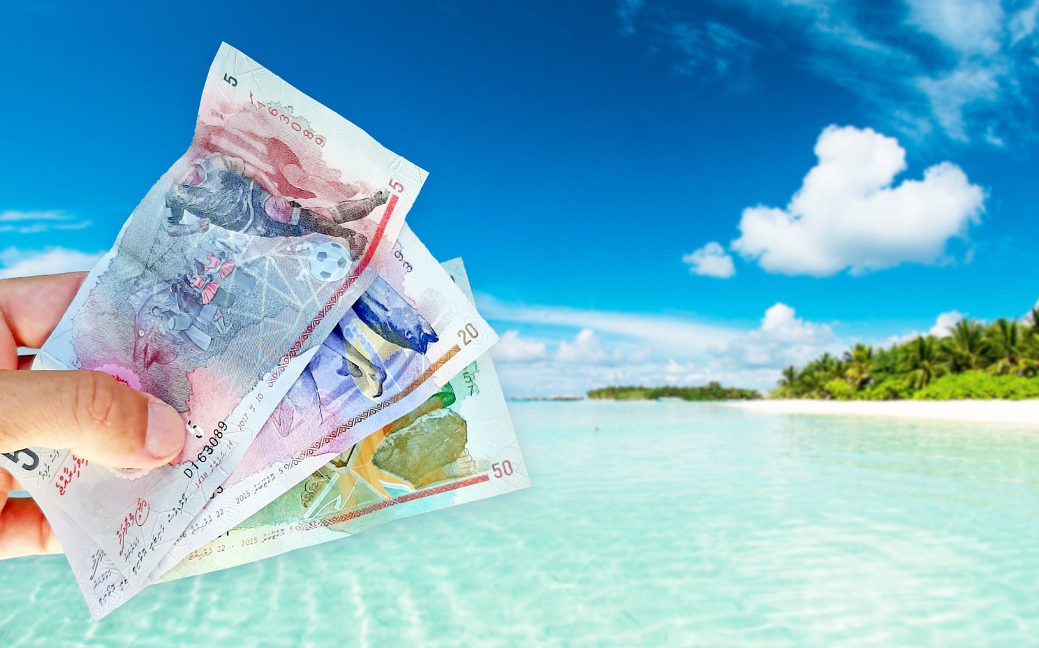 billetes de Maldivas