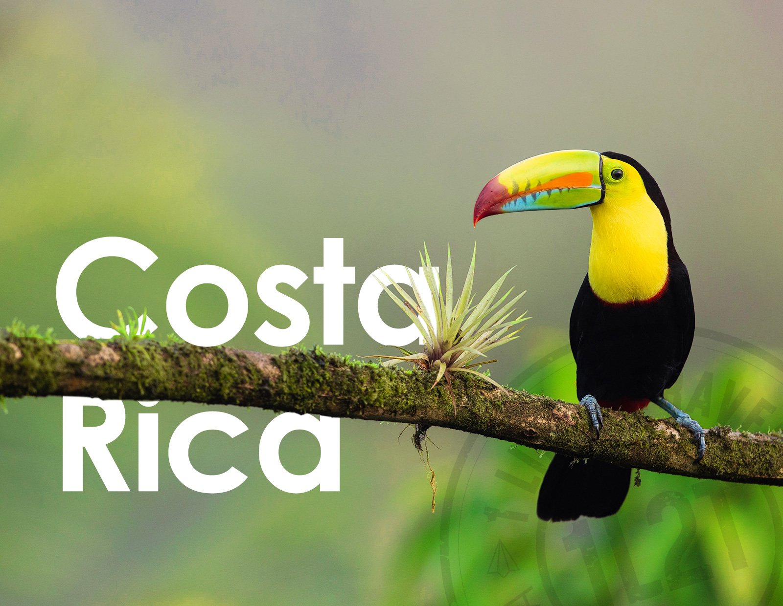 12 curiosidades sobre Costa Rica