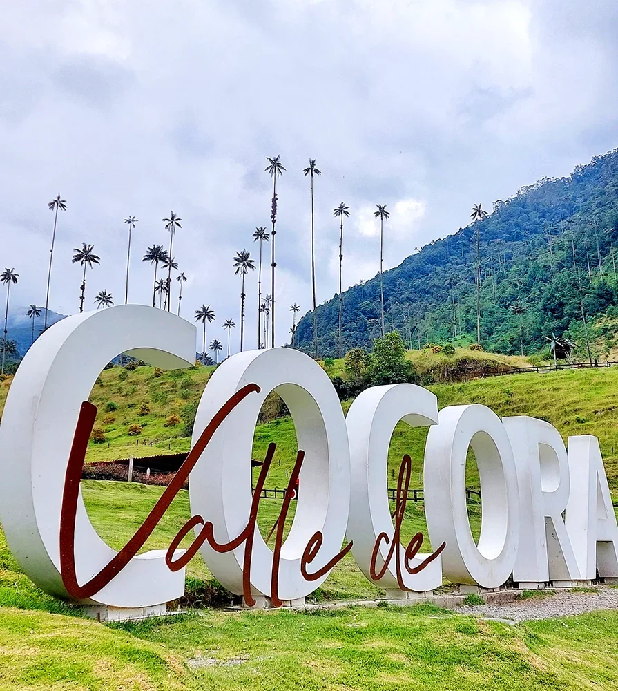 valle de Cocora, eje Cafetero, Colombia